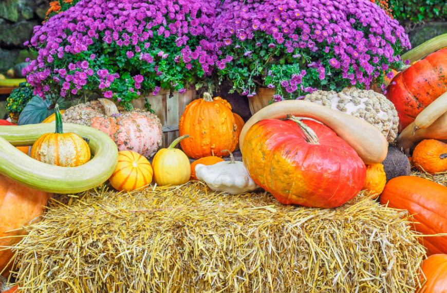 Fall produce and flowers